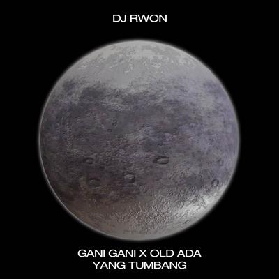 GANI GANI X OLD ADA YANG TUMBANG Remix's cover