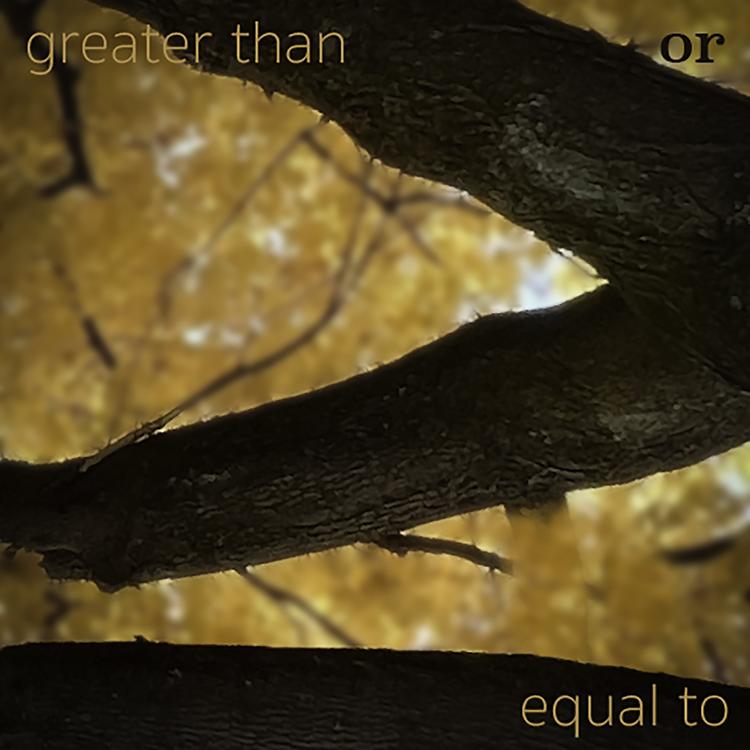 Greater Than or Equal To's avatar image
