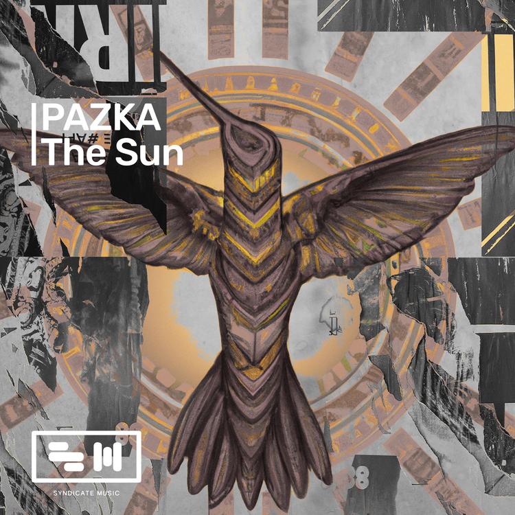 Pazka's avatar image