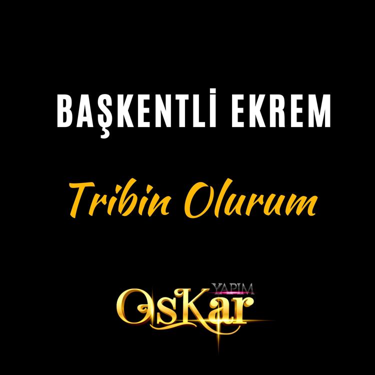 Başkentli Ekrem's avatar image