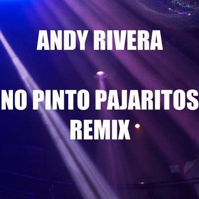 No Pinto Pajaritos (Extended Mix) By Andy Rivera's cover