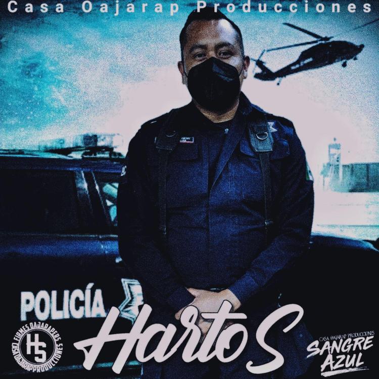 Hartos Sangre Azul's avatar image