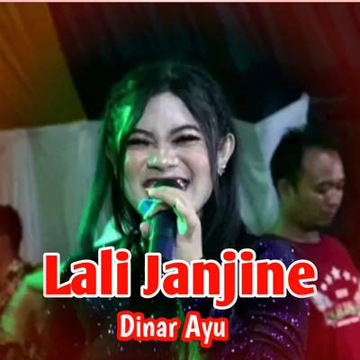 Dinar Ayu's cover