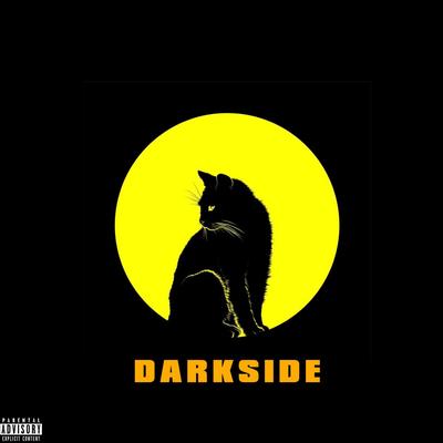 Darkside's cover