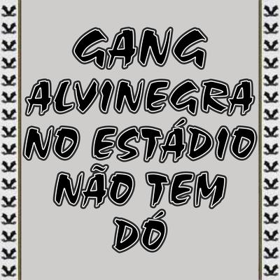 Gang Alvinegra no Estádio Não Tem Dó's cover