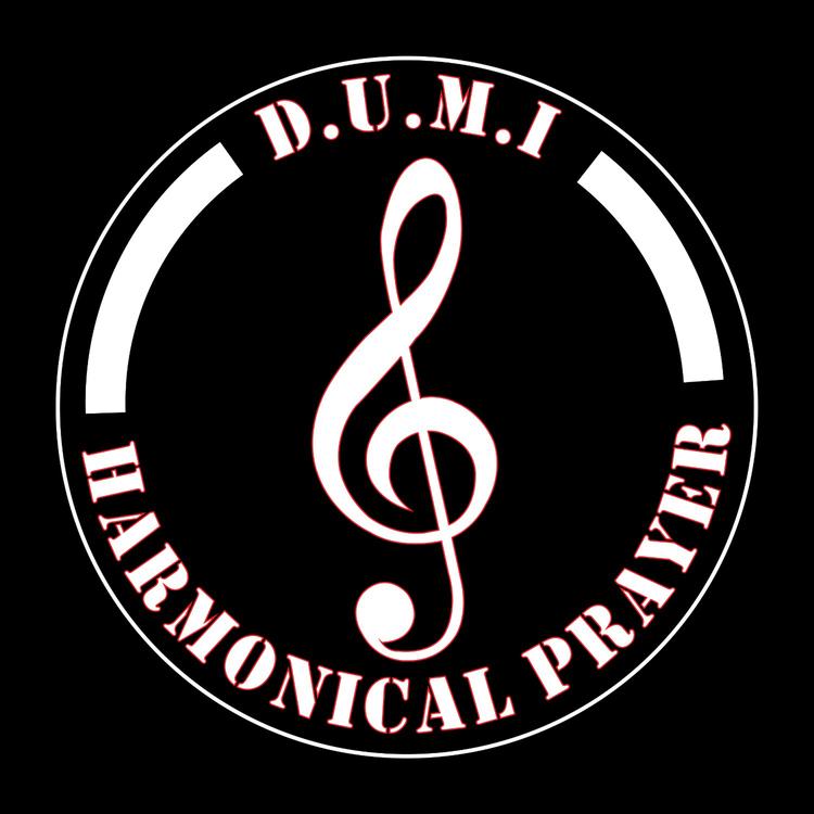 D.U.M.I's avatar image