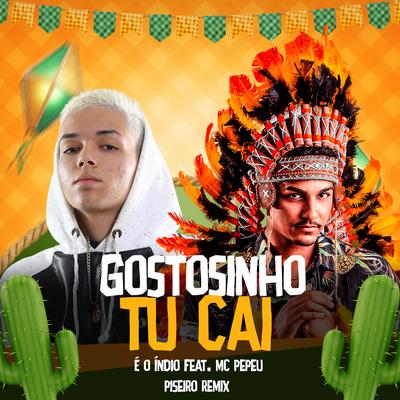 Gostosinho Tu Vai (feat. Mc Pepeu) (feat. Mc Pepeu) By E O Índio, Mc Pepeu's cover