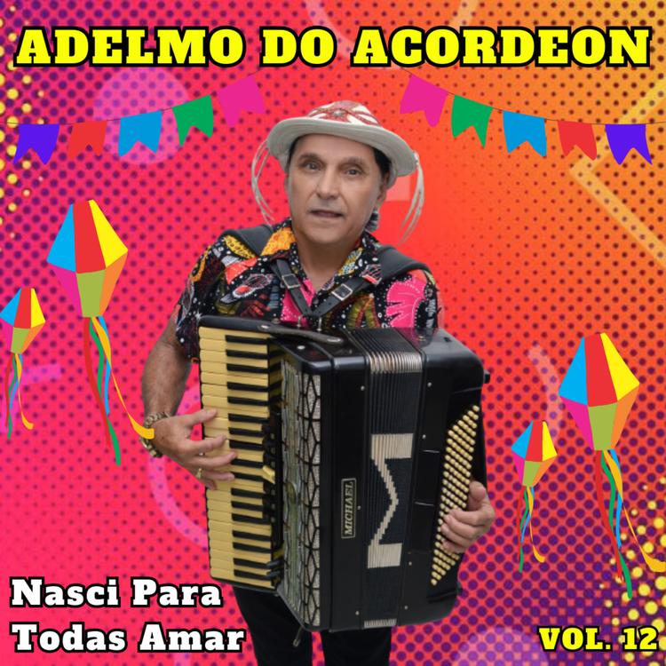 Adelmo Do Acordeon's avatar image