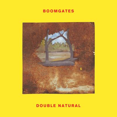 Flood Plains By Boomgates's cover