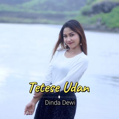 Tetese Udan's cover