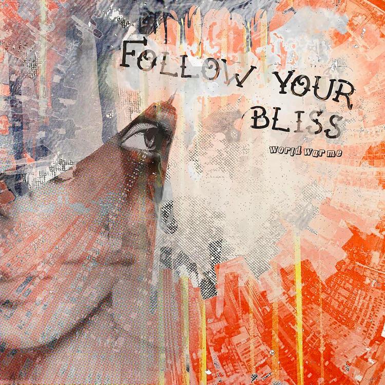Follow Your Bliss's avatar image