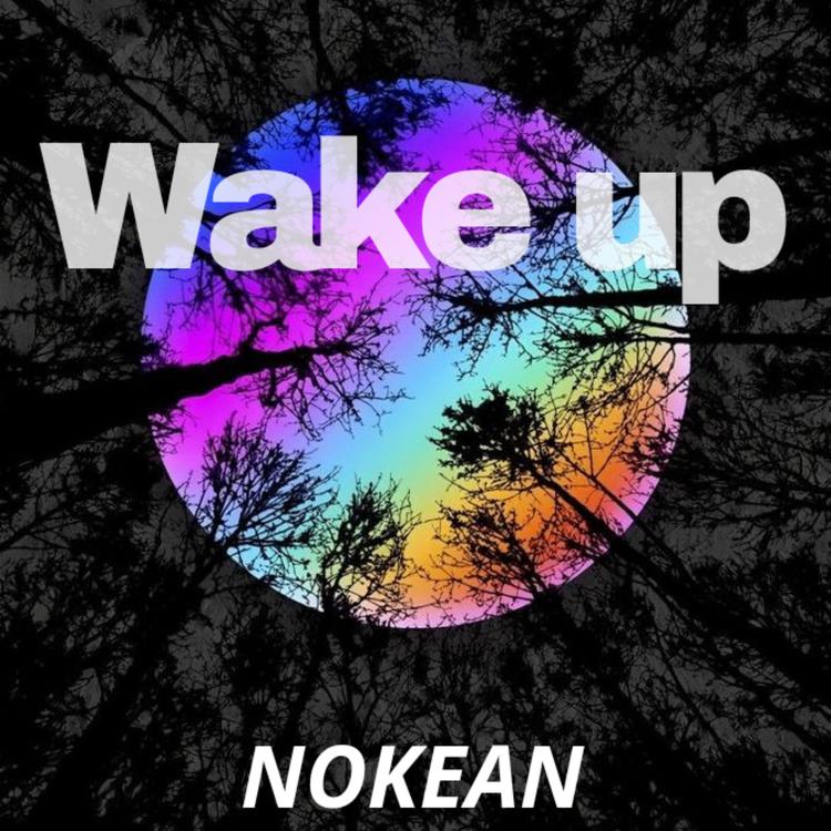 Nokean's avatar image