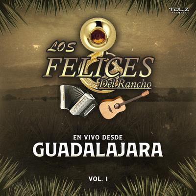 En Vivo Desde Guadalajara, Vol. 1's cover