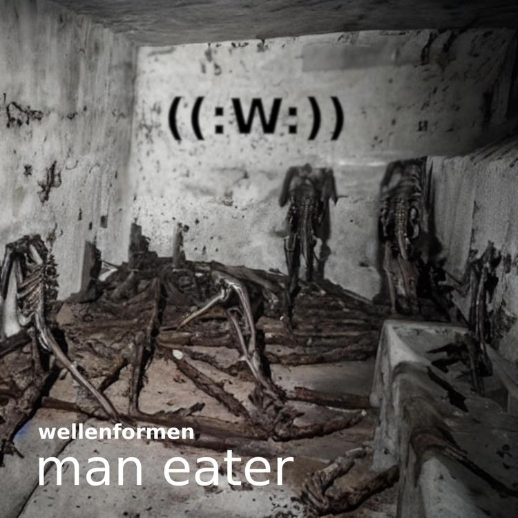 Wellenformen's avatar image