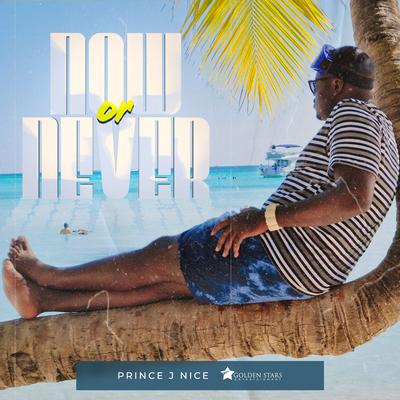 Prince J Nice's cover