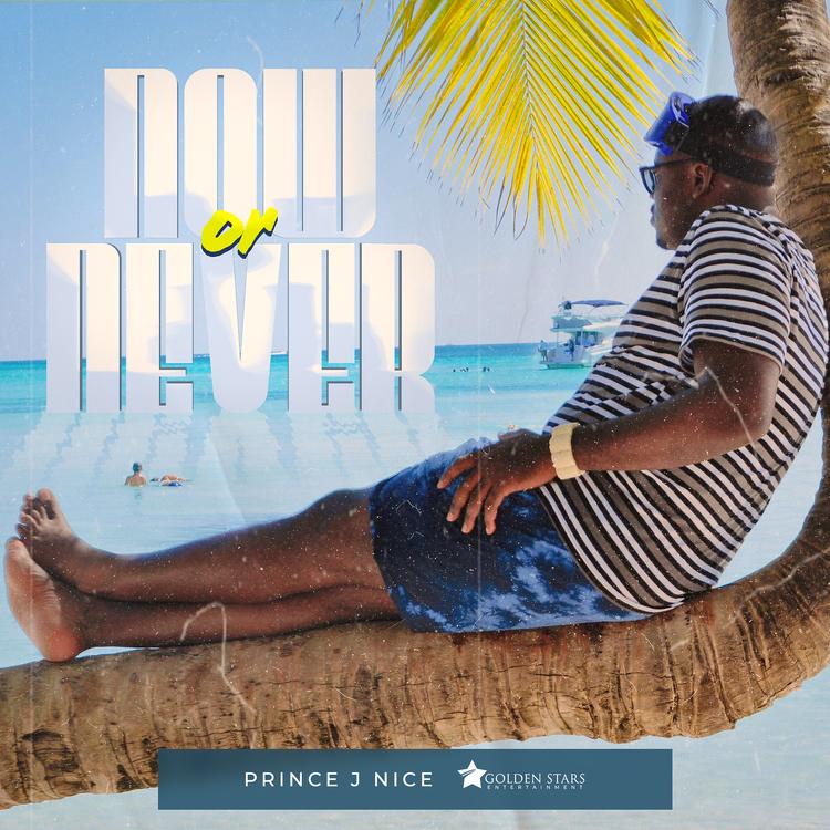 Prince J Nice's avatar image
