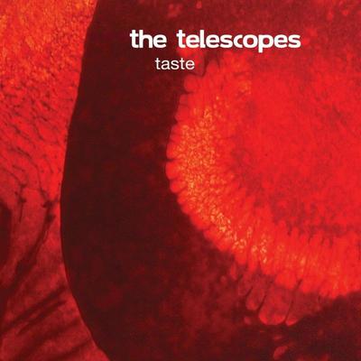 Violence By Telescopes's cover