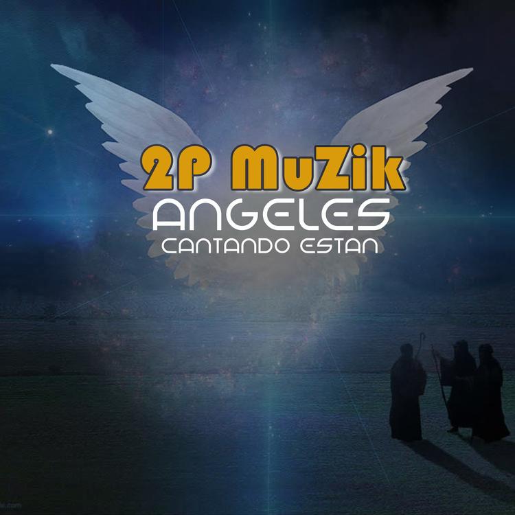 2P Muzik's avatar image