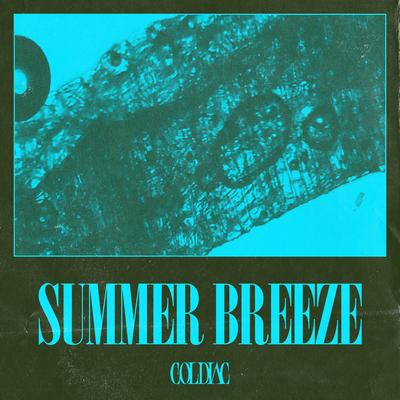 Summer Breeze By Coldiac's cover