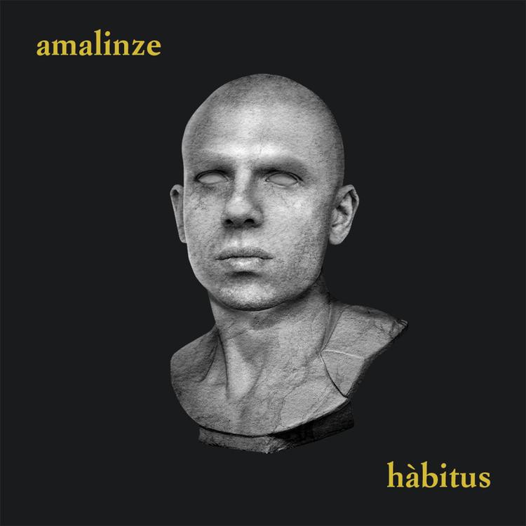 Amalinze's avatar image