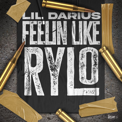 Feelin Like Rylo By Lil Darius's cover