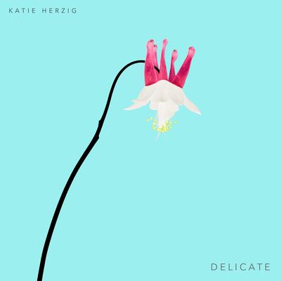 Lost and Found (Delicate Version) By Katie Herzig, Sleeping At Last's cover