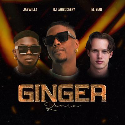 Ginger (Remix)'s cover