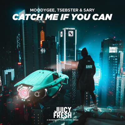 Catch Me If You Can By Moodygee, Tsebster, Sary's cover