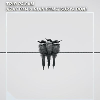 Trio Pakam's cover