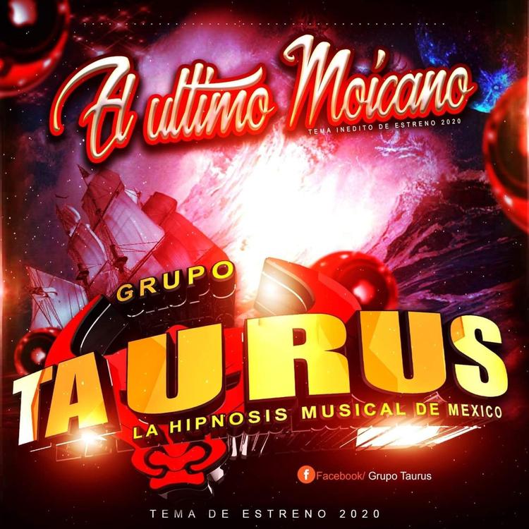 Grupo Taurus's avatar image