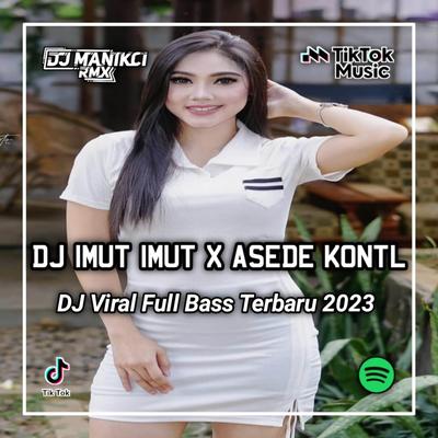 DJ IMUT IMUT X ASEDE KONT*L SAMA LU SEMUA's cover