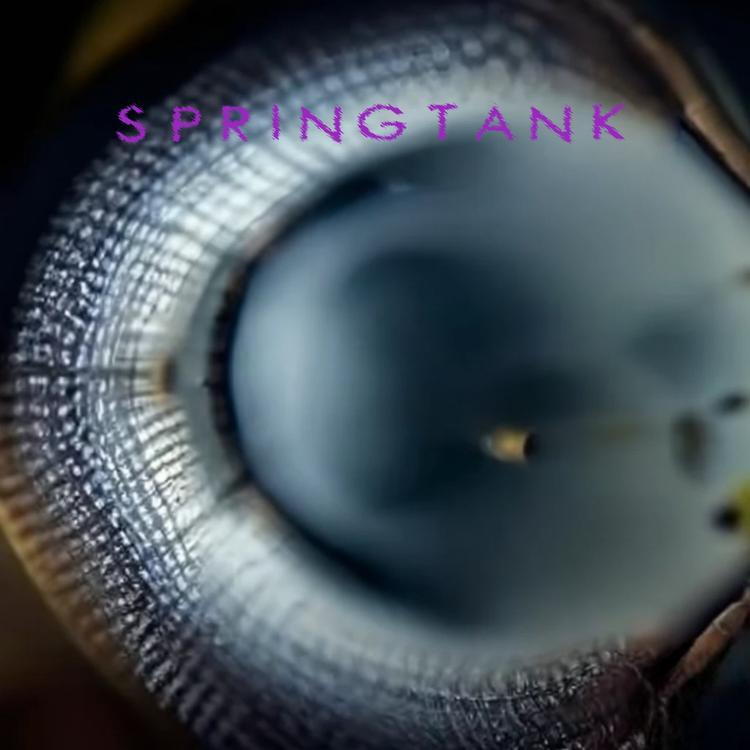 Springtank's avatar image