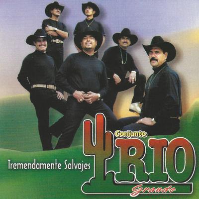 Amigo Mio By Conjunto Rio Grande's cover