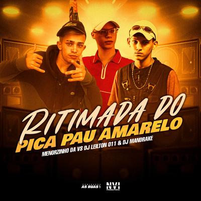 Ritimada do Pica-Pau Amarelo By Mc Menorzinho da VS, DJ LEILTON 011, Dj Mandrake's cover