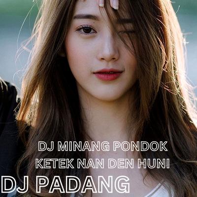 DJ MINANG PONDOK KETEK NAN DEN HUNI's cover