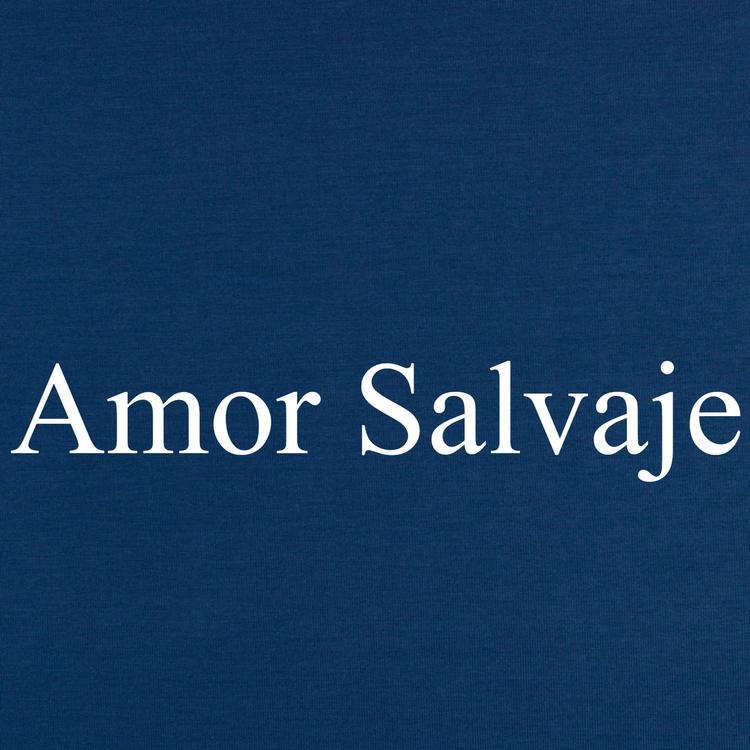amor Destinado's avatar image