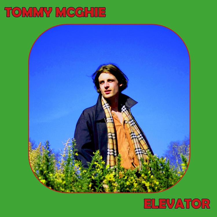 Tommy McGhie's avatar image