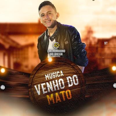 Venho do Mato's cover