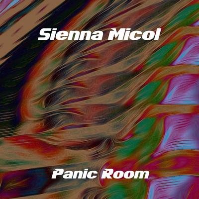 Panic Room (Original mix)'s cover