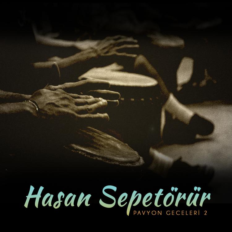 Hasan Sepetörür's avatar image