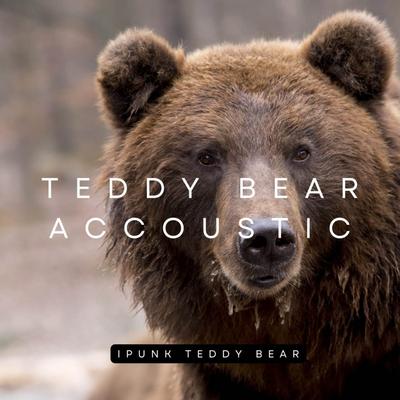 Ipunk Teddy Bear's cover