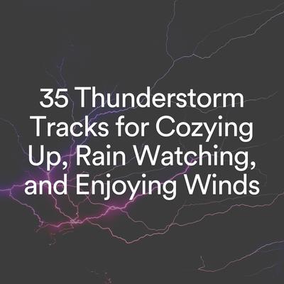 35 Thunderstorm Tracks for Cozying up, Rain Watching, and Enjoying Winds's cover