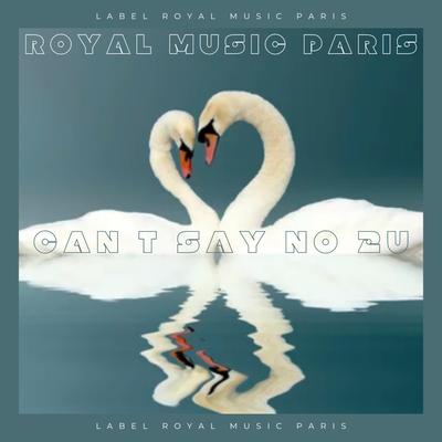 Can T Say No 2U (Radio Mix)'s cover