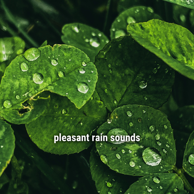 pleasant rain sounds's cover