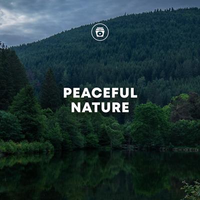 Peaceful Nature's cover