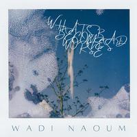 Wadi Naoum's avatar cover