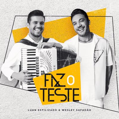 Faz o Teste (Ao Vivo)'s cover