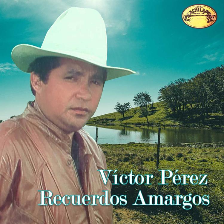 Victor Perez's avatar image