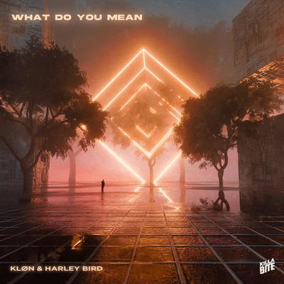 What Do You Mean By Harley Bird, Kløn's cover