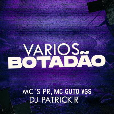 Vários Botadão By MC PR, MC Guto VGS, DJ Patrick R's cover